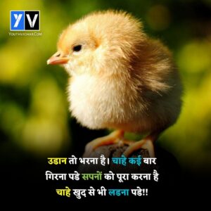 Hindi quotes for students