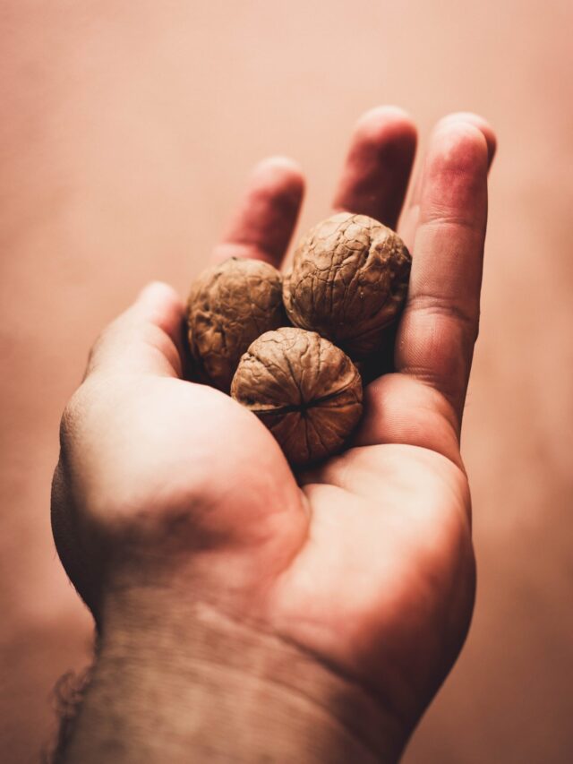 अखरोट (Walnuts) : आपको सर्दियों के दौरान अखरोट का सेवन क्यों करना चाहिए